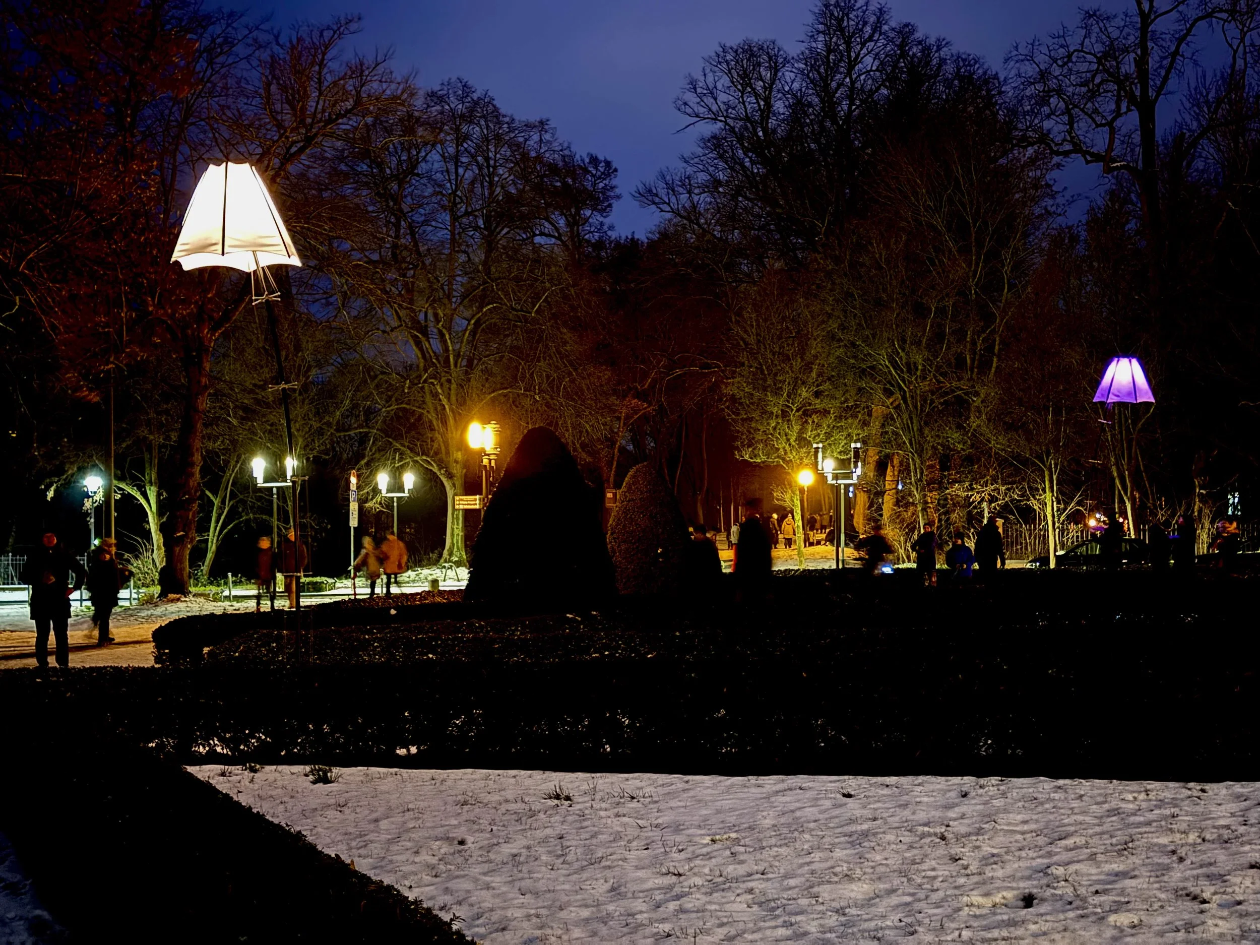 Bloomlights at Caspar David Friedrich's Birthplace